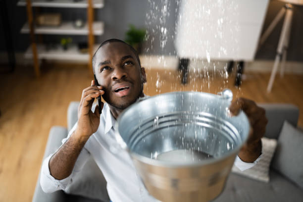 Best Water damage repair service  in Drum Point, MD