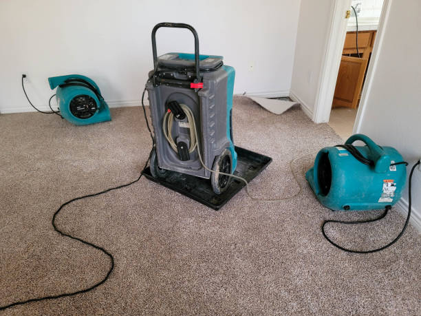 Best Water damage cleanup near me  in Drum Point, MD