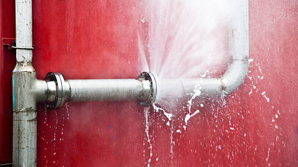 Best Mold removal after water damage  in Drum Point, MD